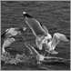 b8